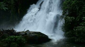 hermosa cascada en el selva con claro agua. corriente corriendo rápido en el verde bosque en el lluvioso estación. tranquilo y pacífico paisaje de naturaleza video