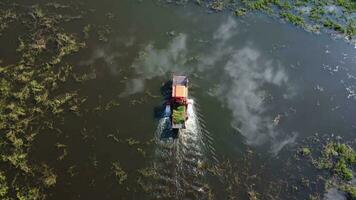 een groot graafmachine in een heel groot staal schip en een trekker zijn werken in de kanaal scheppen omhoog groenten en onkruid. video