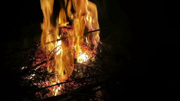 bois Feu brûlant comme enfer video