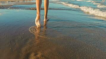 fino garotas pernas e pés estão caminhando em a arenoso de praia. salpicos do água lá, espuma a partir de a ondas lavar a garotas pernas. de praia anda em em a arenoso de praia. video