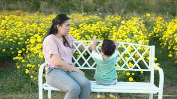 mãe e filho viagem, relaxar, ao ar livre dentro natureza. video