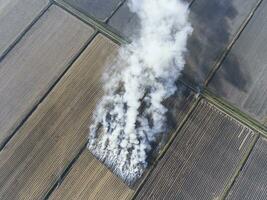 Burning straw in the fields after harvesting wheat crop photo