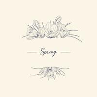 Hand drawn crocus flowers in geometric frame on white background with Spring.Vector illustration. vector