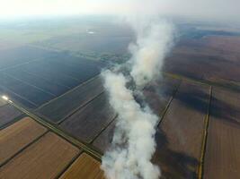 The burning of rice straw in the fields. Smoke from the burning of rice straw in checks. Fire on the field photo