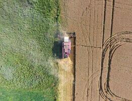 Cleaning wheat harvester. Top view. photo