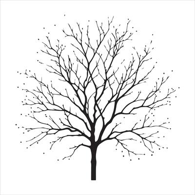 Minimal Autumn Naked Tree vector silhouette