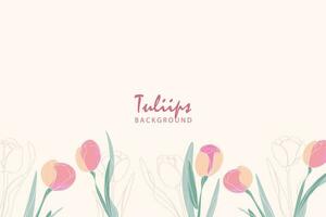 Tulips line arts background vector