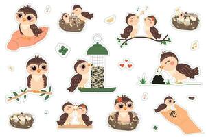 Set of stickers with cute birds. Vector bird. Cartoon bird in different compositions. Isolated background