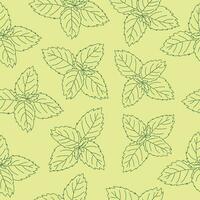 Seamless pattern of mint leaf icon. Isolated illustration of a mint leaf icon in linear style on a green background vector