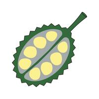 fresh Durian fruit icon vector