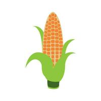 Corn icon vector