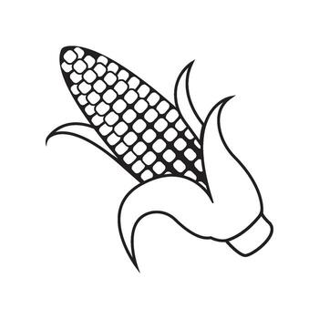 Corn icon vector