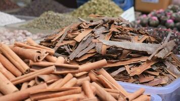 hand picks dried Cinnamon sticks at local shop in istnabul video