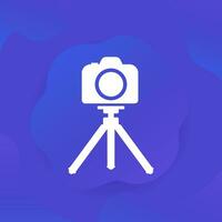 Camera on tripod icon, vector