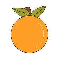 Vector illustration of orange fruit in cartoon style with outline.