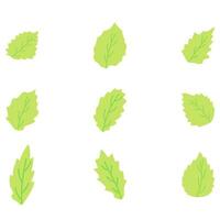 Leaf set icon. Nature vector