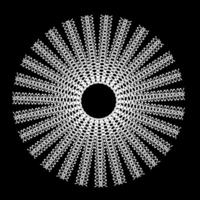 Original white lace abstract pattern arranged in a circle on a black background vector