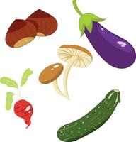 vegetables icon set isolated on white background. Vector illustration.