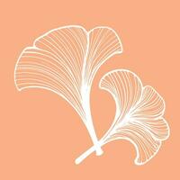 Hand-drawn vector background of ginkgo biloba. Flowers for design.