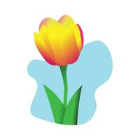 Tulip Flower Isolated On White Background vector