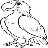 Bird outline images for coloring book vector