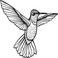 Bird outline images for coloring book vector