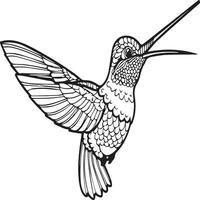 Bird outline images for coloring book vector