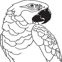 Bird outline images for coloring book vector