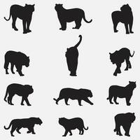 siberian tiger cat silhouette vector