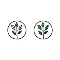 A Pair of Simplistic Botanical Illustrations Featuring Leafy Plants Encircled in Monochrome and Color vector