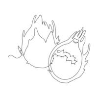 dragonfruit vector illustration single continuous line drawing