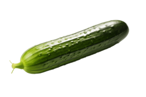 ai gerado pepino com transparente fundo. ai png