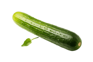 ai gerado pepino com transparente fundo. ai png