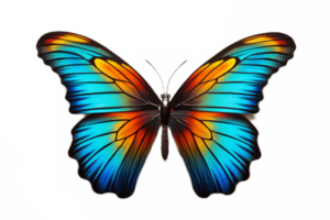 ai generiert lebhaft Schmetterling mit transparent Hintergrund. ai png