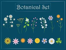 Set of flowers. Botanical set vector