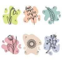 abstract flowers, spring palette, snowdrop sakura, twig, tulip, sunflower vector