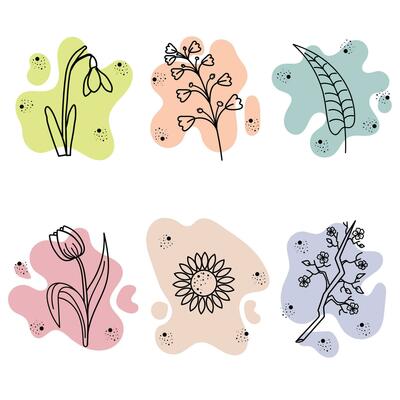 abstract flowers, spring palette, snowdrop sakura, twig, tulip, sunflower