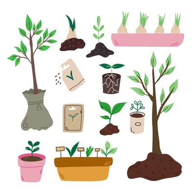 Set of vegetable seeds packages,  sprouts, seedlings, bulbs isolated on white background. Plants cliparts in cartoon style. Pots with seedlings.