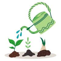 Gardening tools. Seedlings are watered from a watering can.Three different green sprouts irrigate from water container. Growing plants and irrigation. Vector illustration
