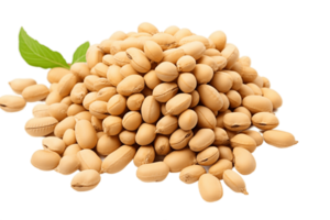 AI generated Soybeans on a Transparent Background. AI png