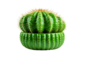 AI generated Cactus on Transparent Background. AI png