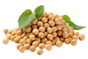 AI generated Soybeans on a Transparent Background. AI png