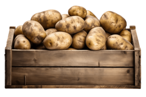 ai gegenereerd aardappelen in houten doos met transparant achtergrond. ai png