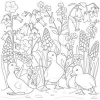 Ducklings playing in the garden black and white vector illustration