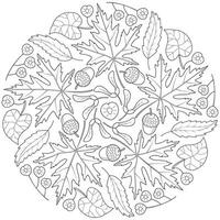 Autumn mandala with autumn leaves on white background. vector