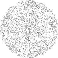 Autumn mandala with autumn leaves on white background. vector