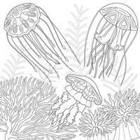 Jellyfish graphic black white isolated sketch illustration vector