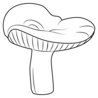 milk mushrooms. Black and white isolated. Vintage. Vector illustration