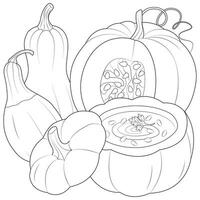 calabaza sopa y calabazas, zalamero y squash aislado en blanco antecedentes. vector