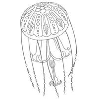 Jellyfish graphic black white isolated sketch illustration vector